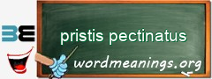 WordMeaning blackboard for pristis pectinatus